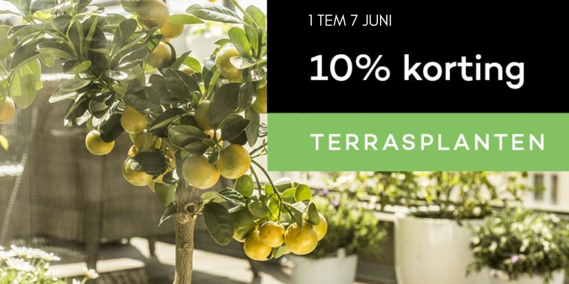 10% korting op terrasplanten!