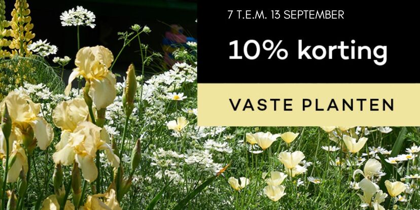 Aanplanten maar! 10% korting op vaste planten