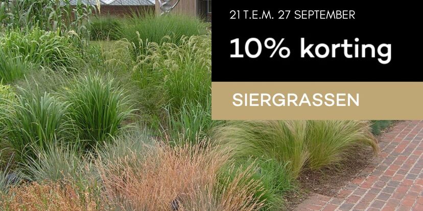 Siergrassen met 10% korting... plant ze nu! 