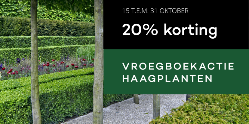 Ontdek onze vroegboekactie haagplanten