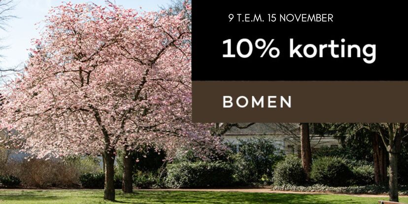 10% korting op alle bomen! 