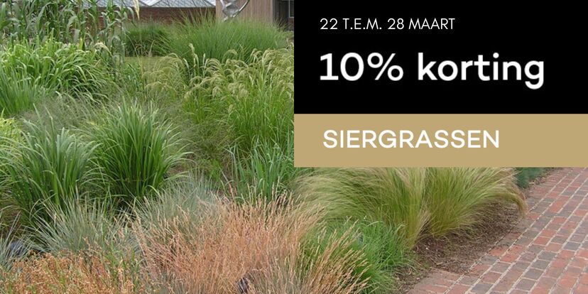 Plant je siergrassen nu met 10% korting! 